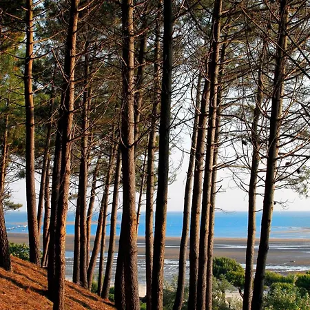 Spacieux T3 Au Centre D'arcachon, 3 Etoiles, Proche Et Commerces, Ideal Famille - 5 Pers - Fr-1-420-111 *