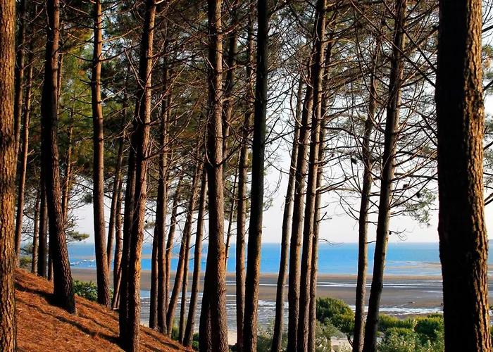 Spacieux T3 Au Centre D'arcachon, 3 Etoiles, Proche Et Commerces, Ideal Famille - 5 Pers - Fr-1-420-111 *