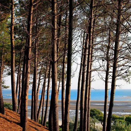 Spacieux T3 Au Centre D'arcachon, 3 Etoiles, Proche Et Commerces, Ideal Famille - 5 Pers - Fr-1-420-111 Apartment Arcachon