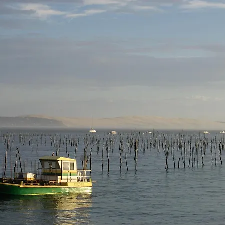 Arcachon, 3 Pièces, 5 Personnes - Fr-1-420-111 Arcachon