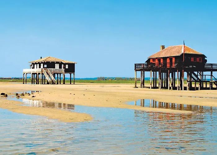 Spacieux T3 Au Centre D'arcachon, 3 Etoiles, Proche Et Commerces, Ideal Famille - 5 Pers - Fr-1-420-111 *