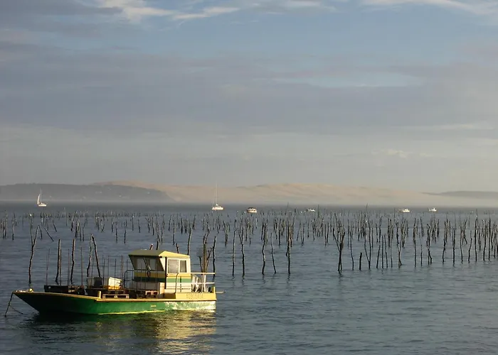 Arcachon, 3 Pièces, 5 Personnes - Fr-1-420-111 Arcachon